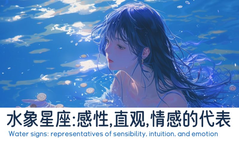 水象星座，感性，直观