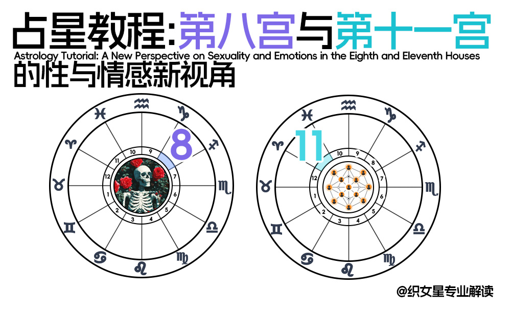 占星教程：第八宫与第十一宫的性与情感新视角