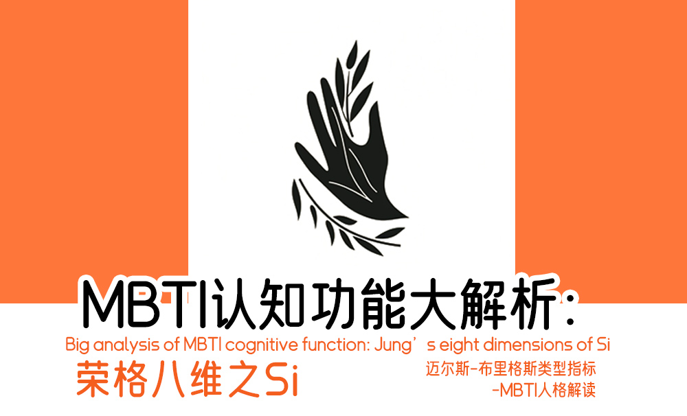 MBT认知功能大解析：荣格八维之Si