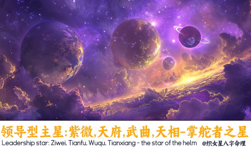 领导型主星：紫微、天府、武曲、天相 —— 掌舵者之星