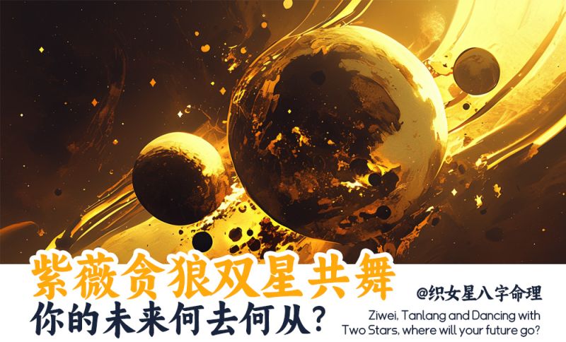 紫薇贪狼双星共舞，你的未来何去何从？