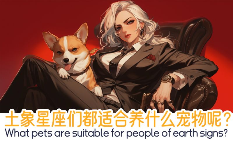 土象星座们都适合养什么宠物呢？