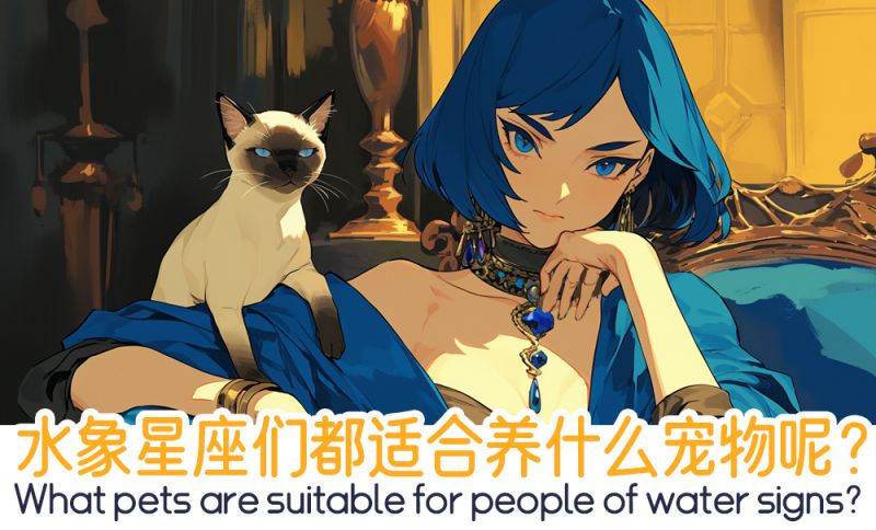 水象星座们都适合养什么宠物呢？