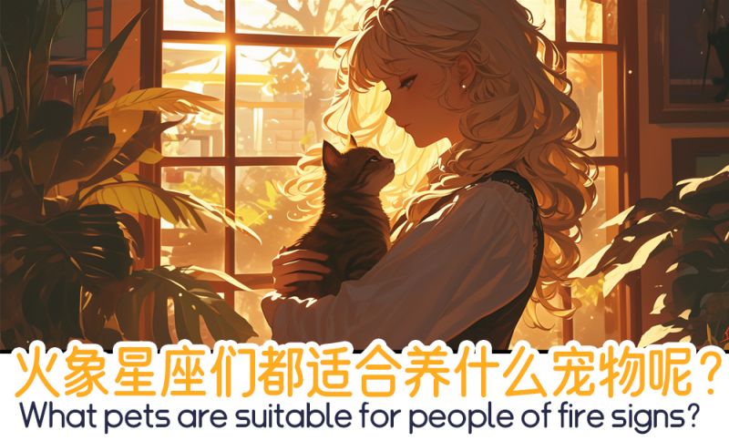 火象星座们都适合养什么宠物呢？