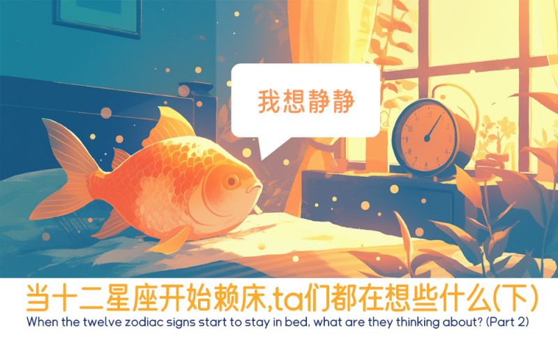 赖床的十二星座