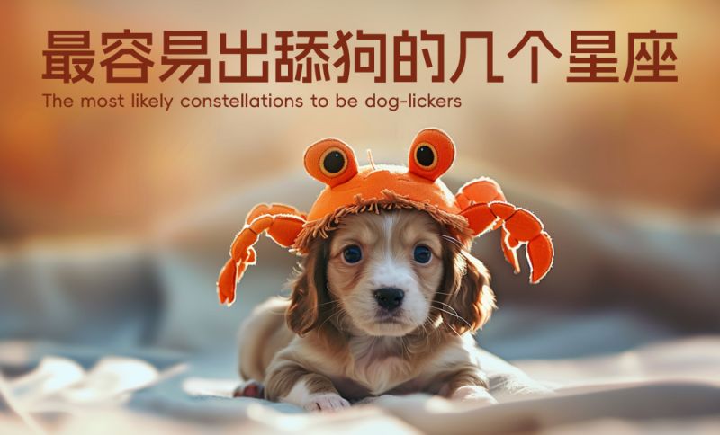 舔狗之王的几个星座