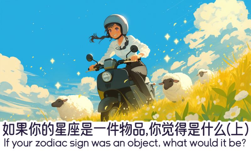 如果你的星座是一件物品，你觉得是什么