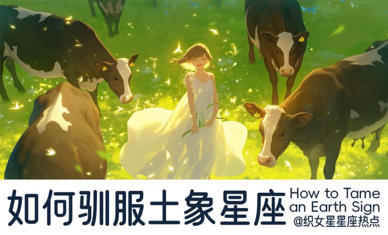 土象星座该怎么追求