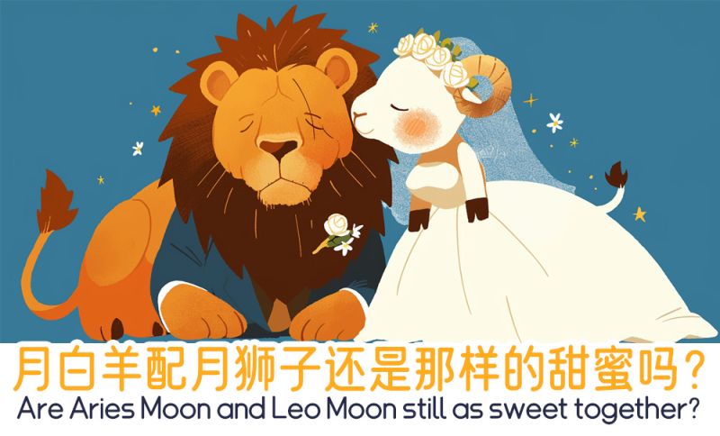 月白羊配月狮子
