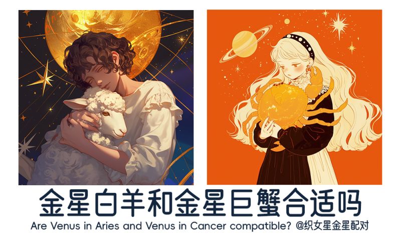金星白羊和金星巨蟹
