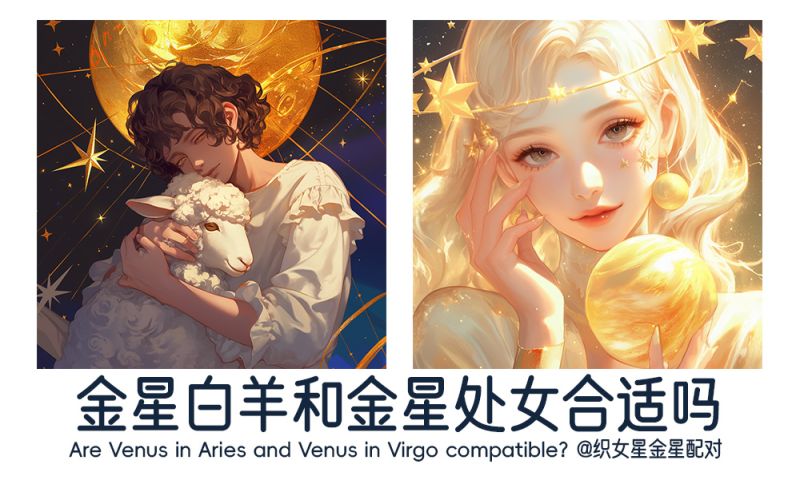 金星白羊和金星处女