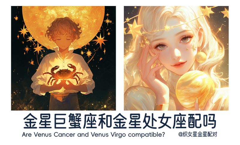 金星巨蟹座和金星处女座