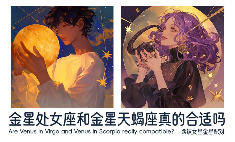 金星处女座和金星天蝎座