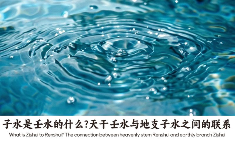 天干壬水与地支子水