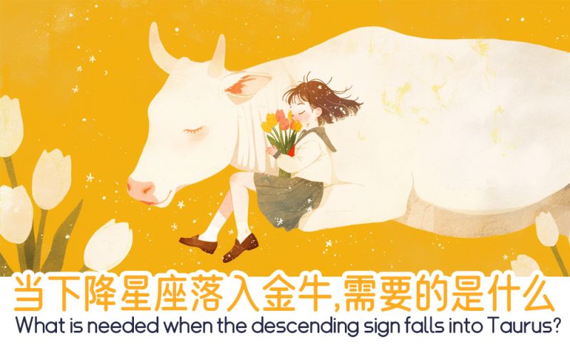 当下降星座落入金牛