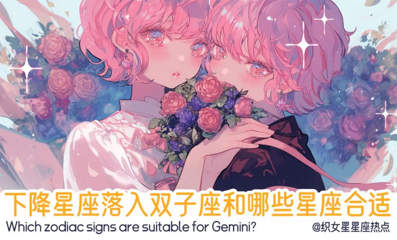 下降星座落入双子座