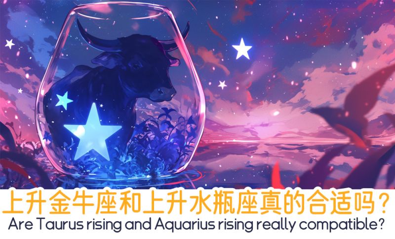 上升金牛座和上升水瓶座