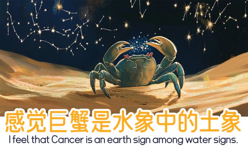 感觉巨蟹是水象中最像土象的人