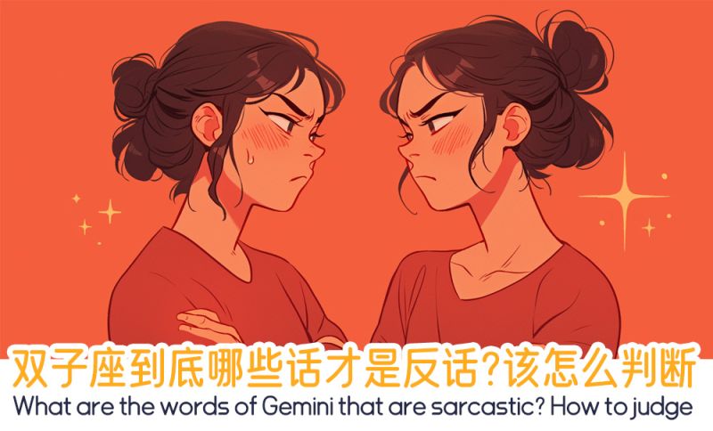 双子座的反话，双子座究竟是为了什么
