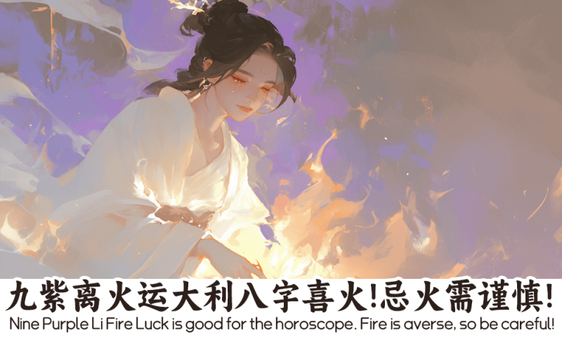 九紫离火运大利八字喜火