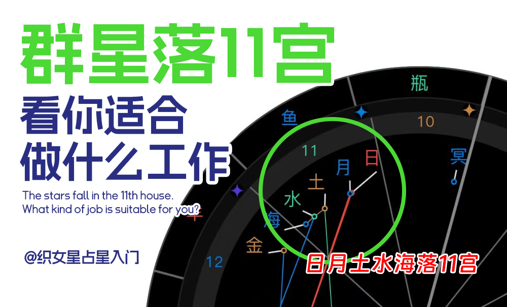 群星落11宫看适合做什么工作