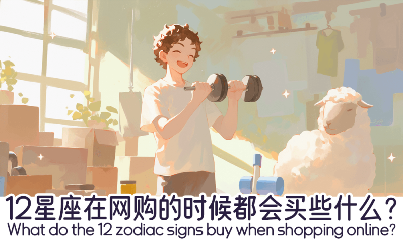 12星座在网购的时候都会买些什么