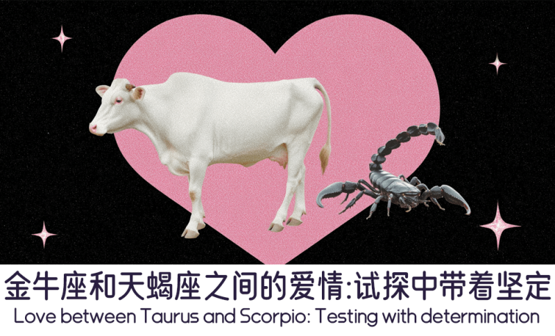 金牛座和天蝎座之间的爱情