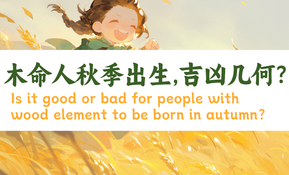 木命人秋季出生，吉凶几何？(八字基础)