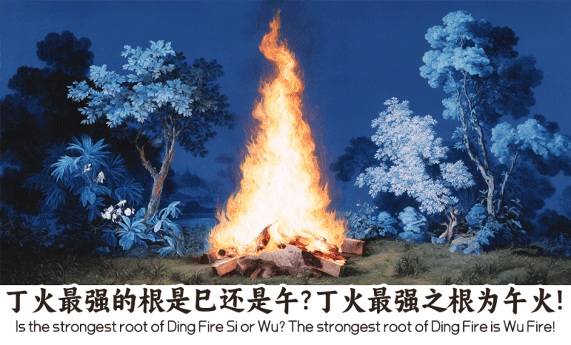丁火最强的根