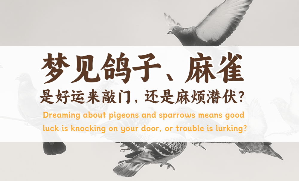 梦见鸽子、麻雀，是好运来敲门，还是麻烦潜伏？
