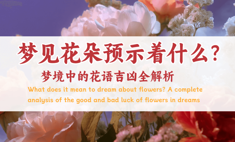 梦见花朵预示着什么