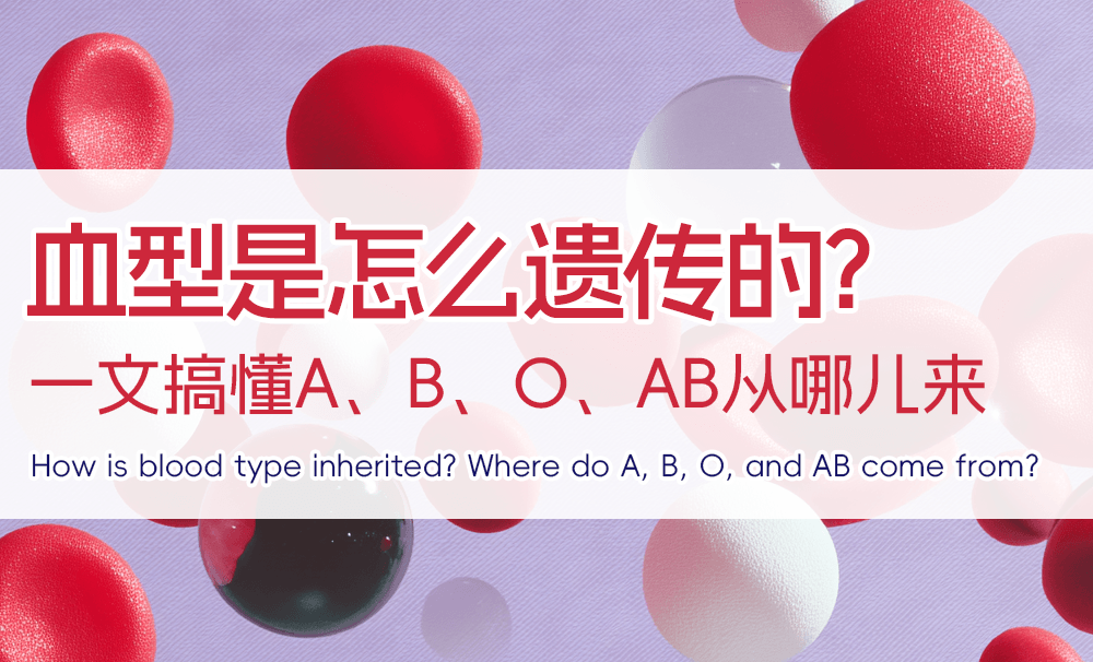 血型是怎么遗传的？|一文搞懂A、B、O、AB从哪儿来