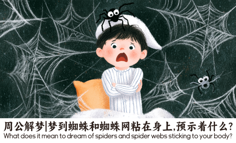 梦到蜘蛛和蜘蛛网