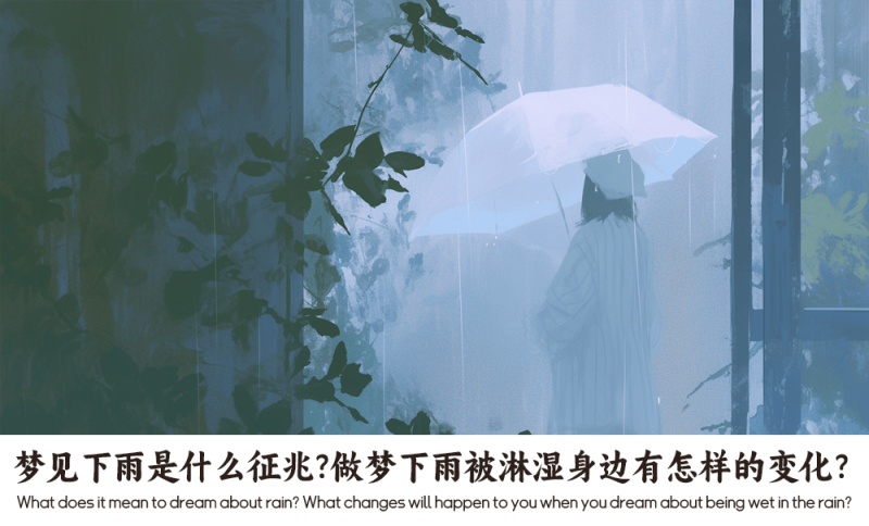 梦见下雨