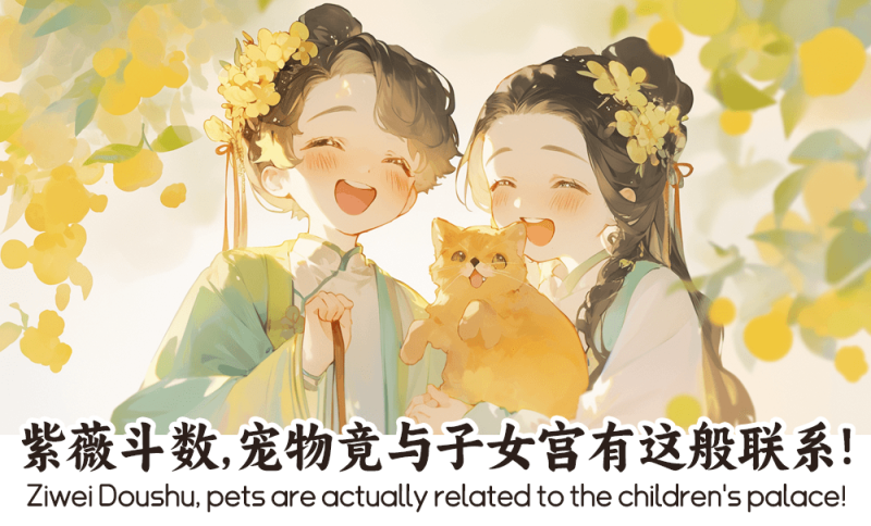 紫薇斗数，宠物竟与子女宫有这般联系！