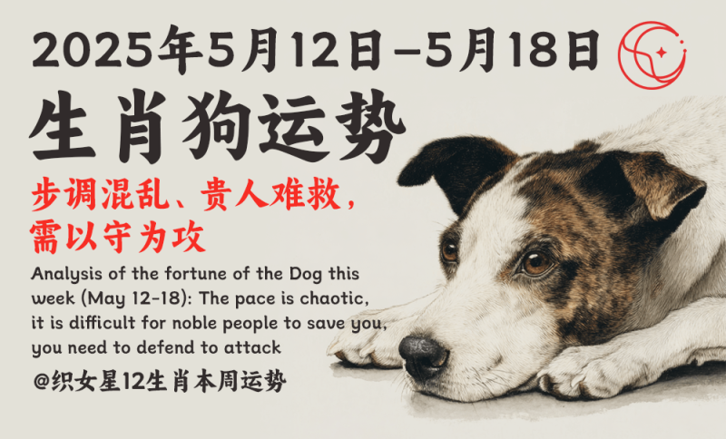 属狗本周运势（5月12日–18日）