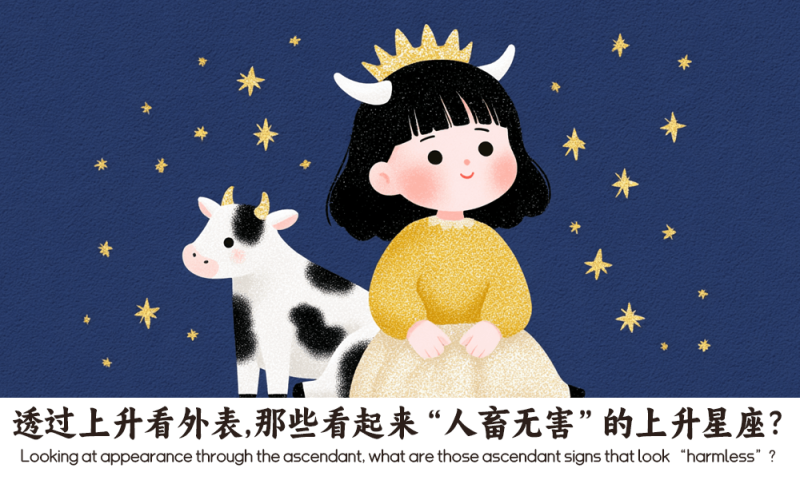 上升看外表