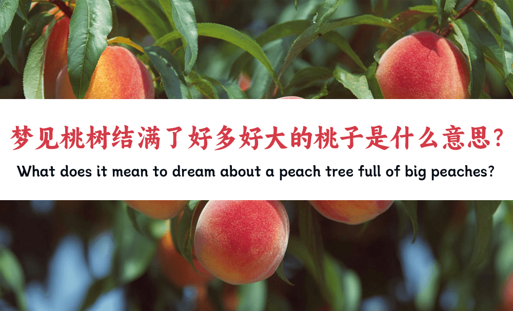 梦见桃树结满了好多好大的桃子是什么意思？