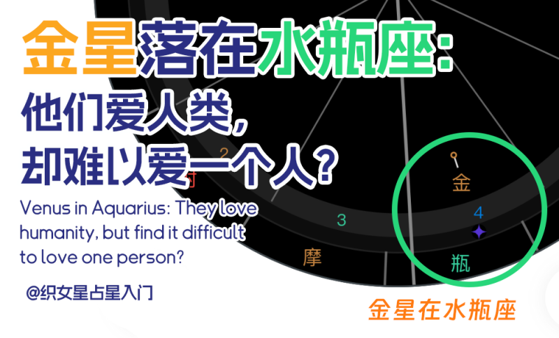 金星落在水瓶座的星盘示例