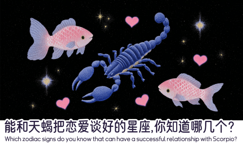 能和天蝎把恋爱谈好的星座