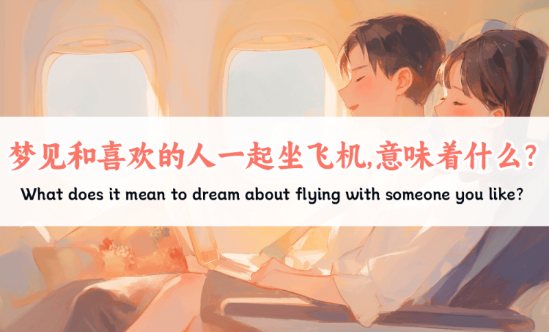 梦见和喜欢的人一起坐飞机