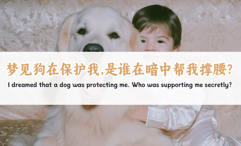 梦见狗在保护我