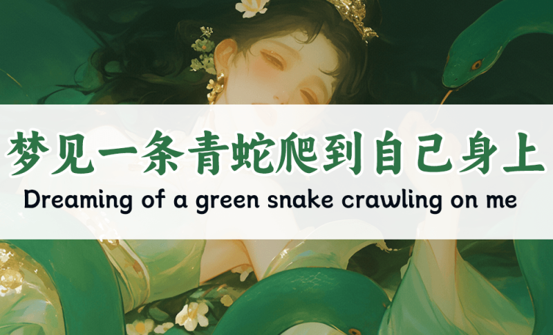 梦见一条青蛇爬到自己身上预示什么