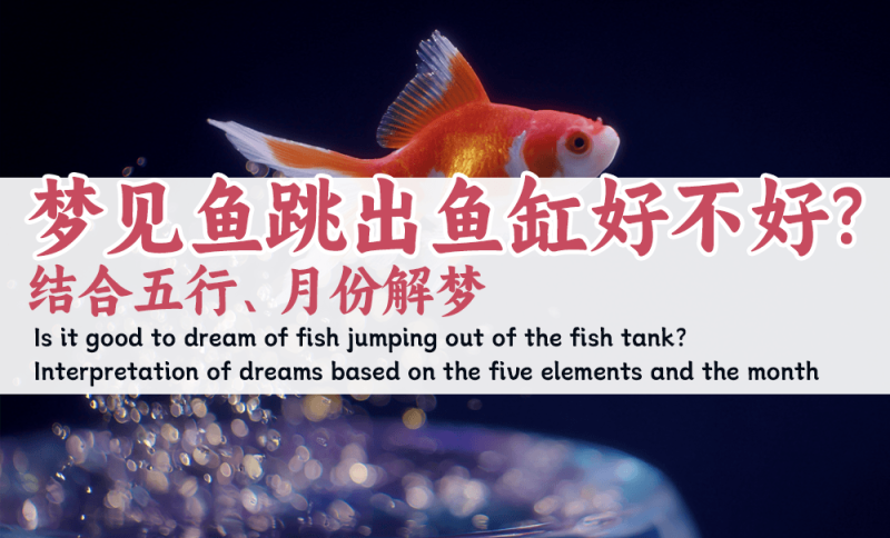梦见鱼跳出鱼缸好不好