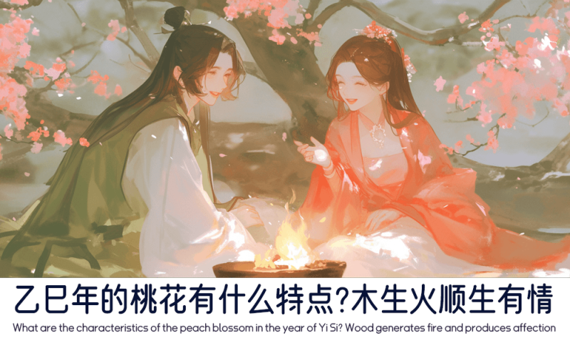 乙巳年的桃花有什么特点