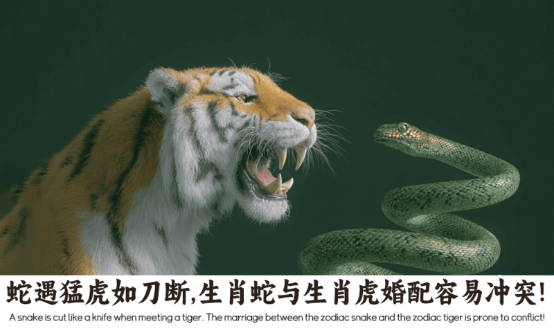蛇遇猛虎如刀断