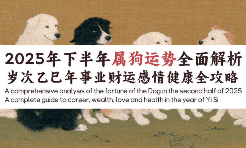 2025年下半年属狗运势全面解析