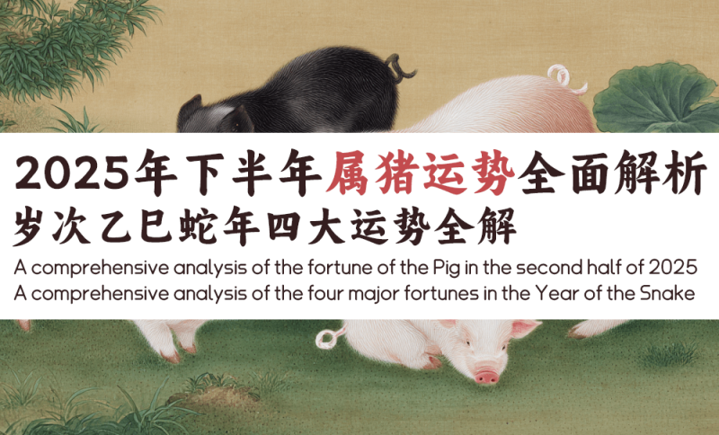 2025年下半年属猪运势总解析