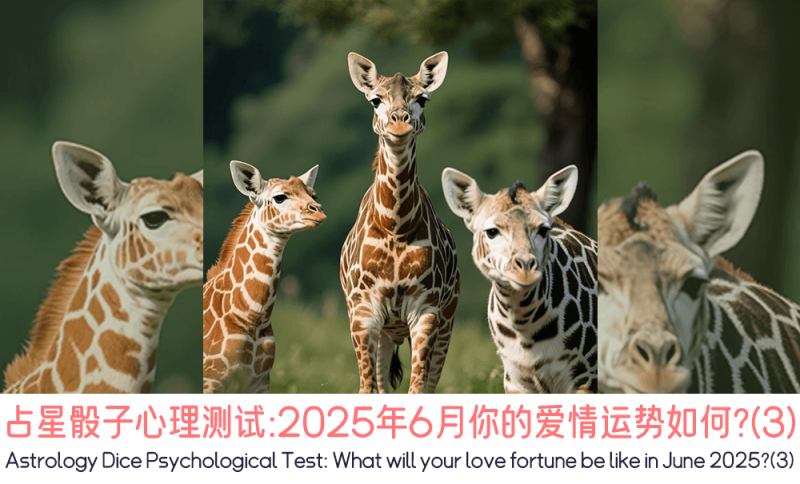 2025年6月爱情运势，月运