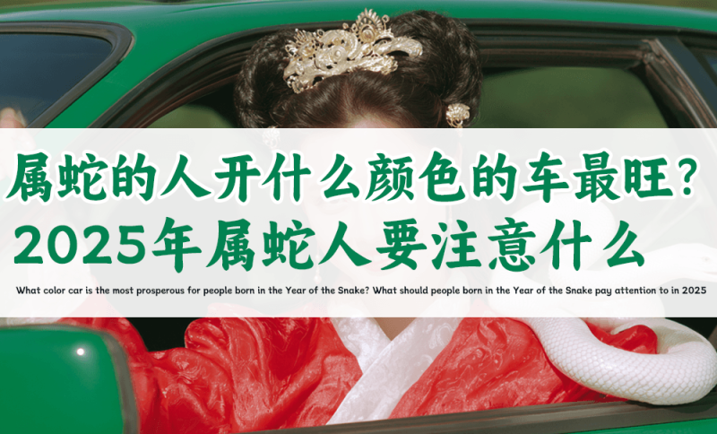 属蛇的人开什么颜色的车最旺
